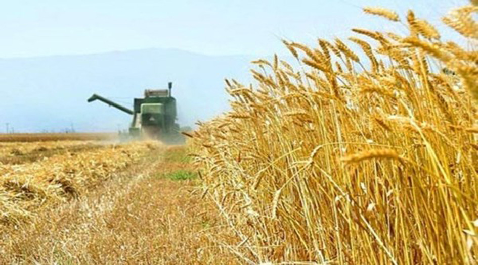 ايران تتحدى الحظر وتحقق الإكتفاء الذاتي في إنتاج القمح