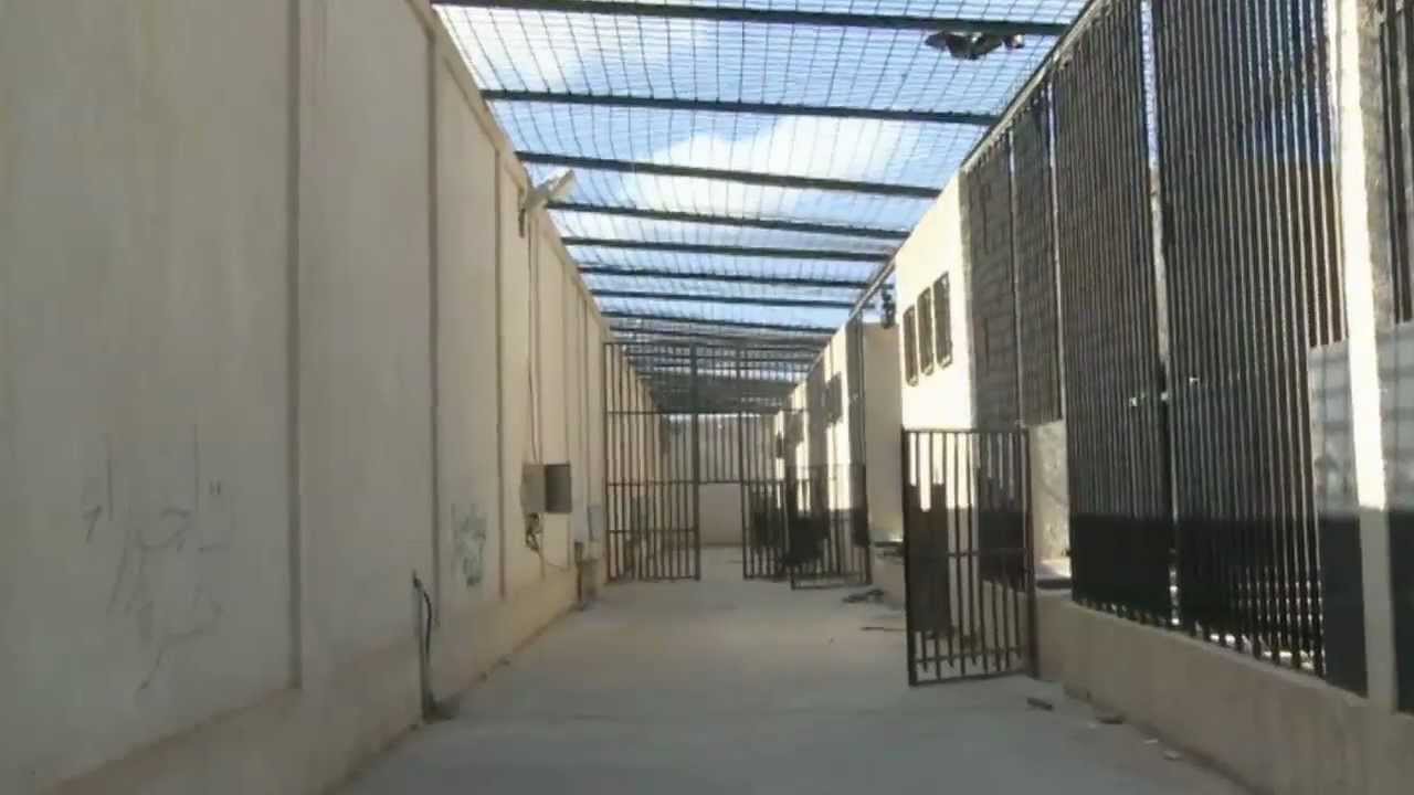 إطلاق نار في سجن ليبي يخلف مصابين