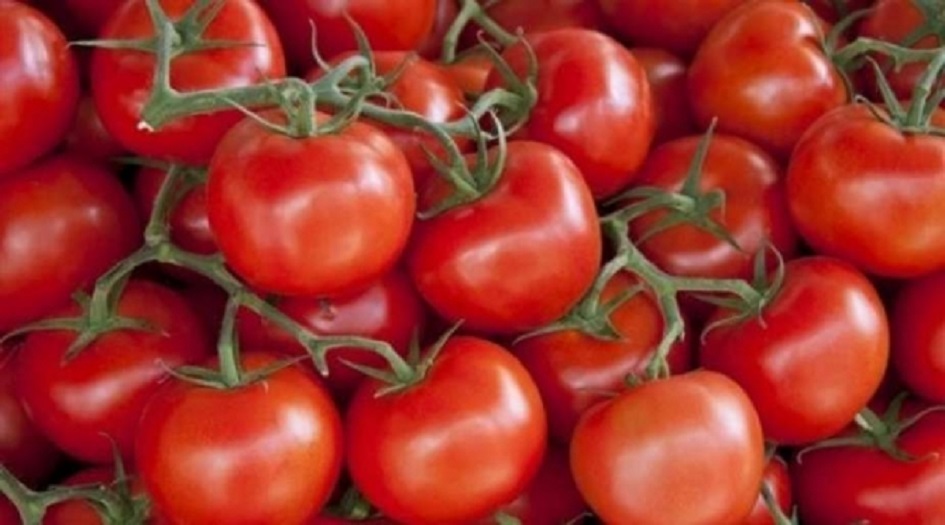 الزراعة العراقية تمنع إستيراد الطماطم
