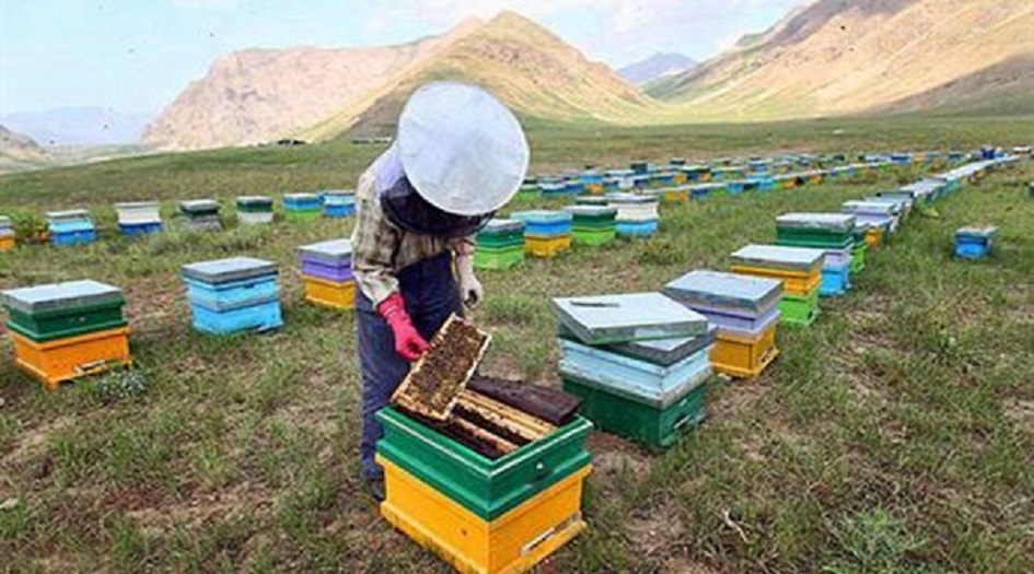 خبراء ايرانيون ينتجون كريماً مضادا للتجاعيد مستخلصاً من العسل