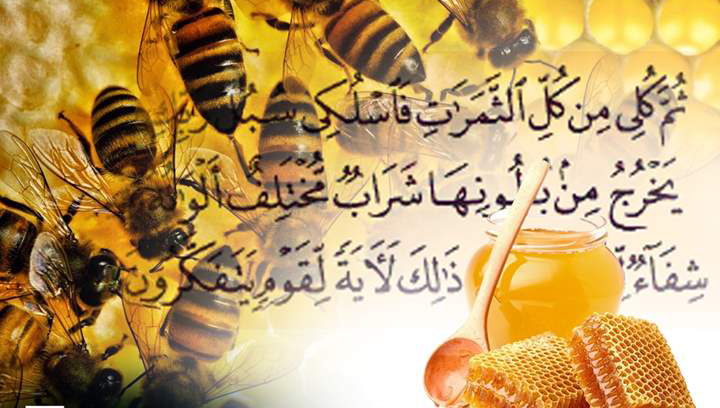 فِيهِ شِفَاءٌ لِلنَّاسِ ....علاج أمراض العين بعسل النحل