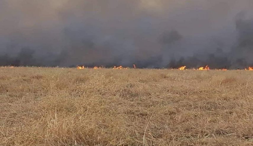حريق كبير في سنجار يمتد الى تلعفر والدفاع المدني يحاول السيطرة
