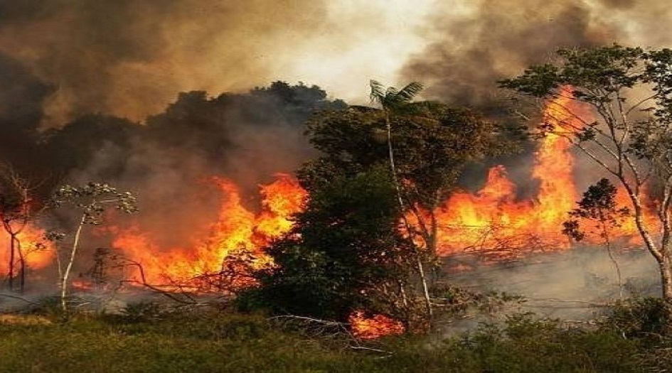 حرائق الامازون ... "رئة الأرض" تحترق