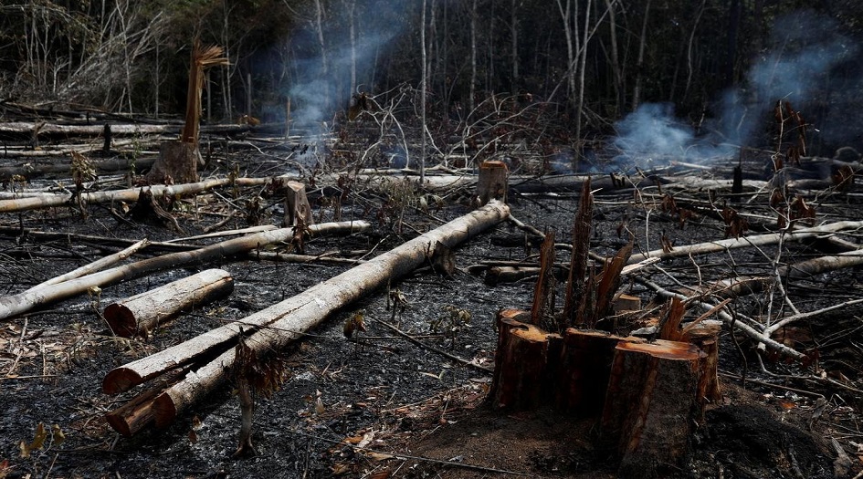 "رئة الكرة الأرضية في خطر".. هل تؤدي حرائق غابات الأمازون إلى انقراض البشر؟