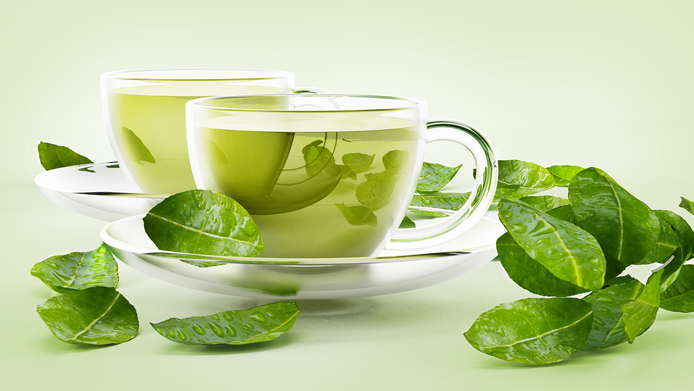 لعشاق الشاي الأخضر..اكتشاف خاصية  مذهلة تساعد على علاج هذه الأمراض !ّ