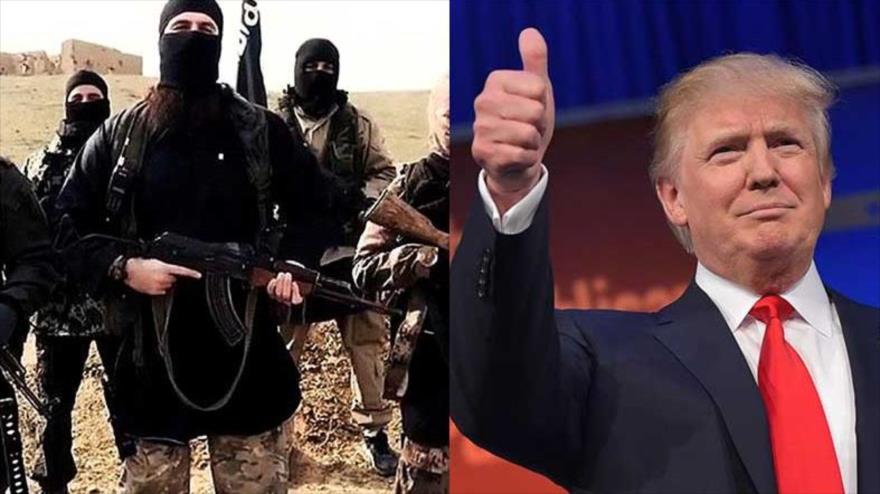 ترامپ و موضع دوگانه در قبال داعش