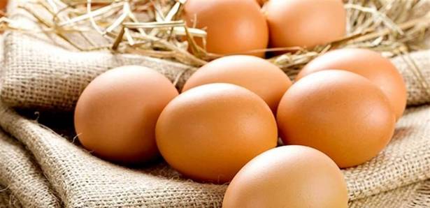 دجاج يضع بيضًا فيه “أدوية” مضادة للسرطان!