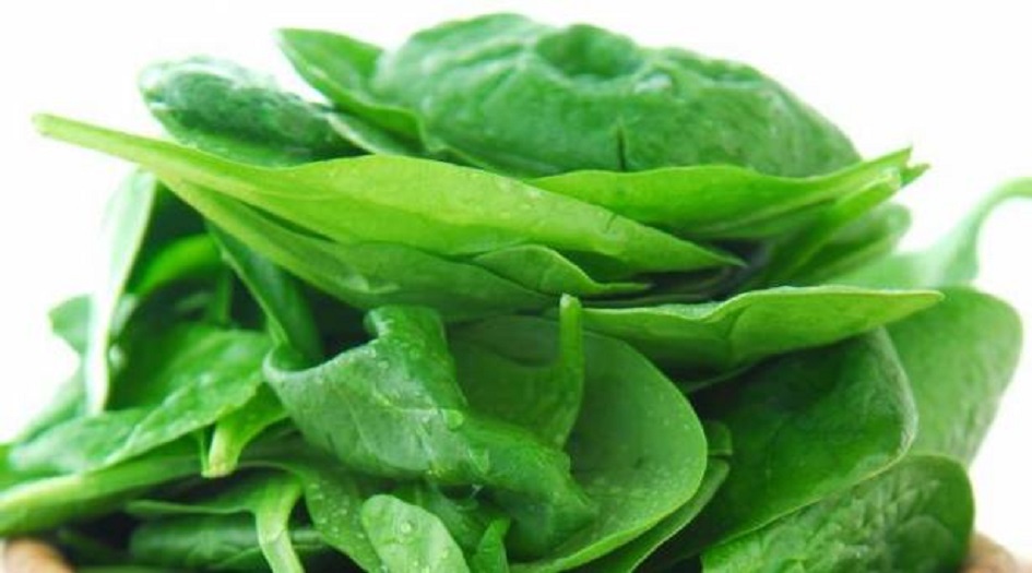 الخضروات الورقية الخضراء .. فوائد صحية “سحرية”