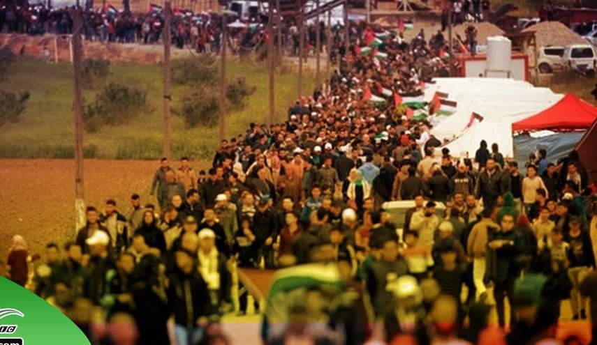 استعدادات في فلسطين لجمعة "الخليل عصية على التهويد"