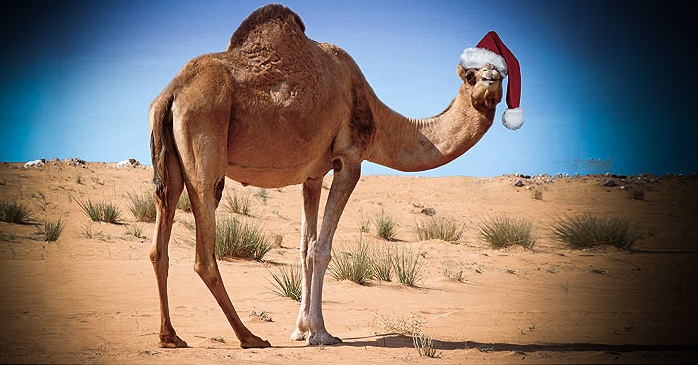 الاحتفال بميلاد المسيح في الحجاز.. إصلاحات "ابن سلمان" الغربية تستدعي "بابا نويل" إلى السعودية