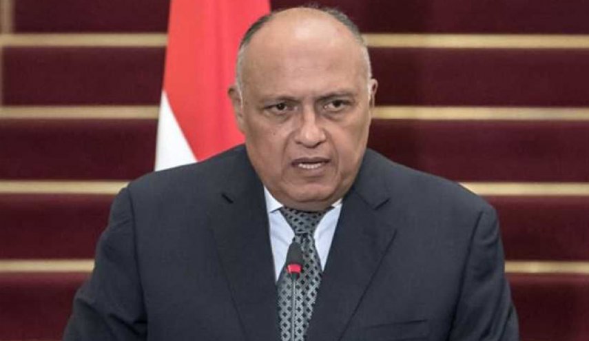 وزير الخارجية المصري: تم استقدام "مقاتلين أجانب" إلى ليبيا