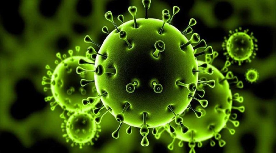 عالم فيروسات أميركي يكشف تفاصيل “خطيرة” عن كورونا