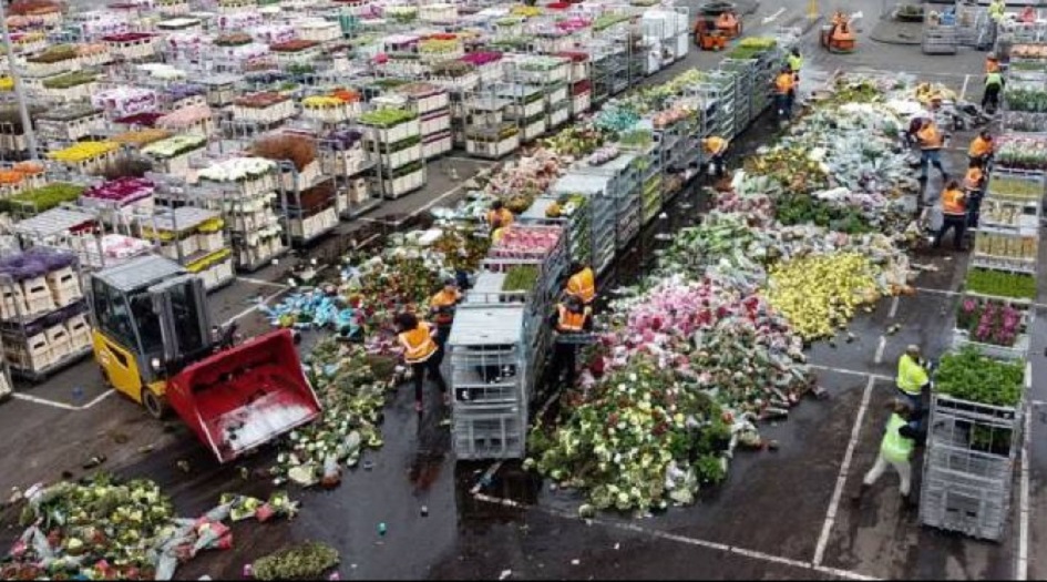 الزهور في مقدمة ضحايا كورونا في هولندا
