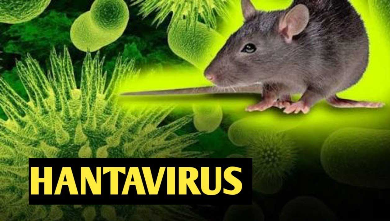 آیا «هانتا ویروس» بعد از «کرونا ویروس» قربانی می گیرد؟