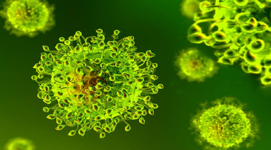 مصر تكشف لأول مرة مصدر تفشي فيروس "كورونا" في البلاد