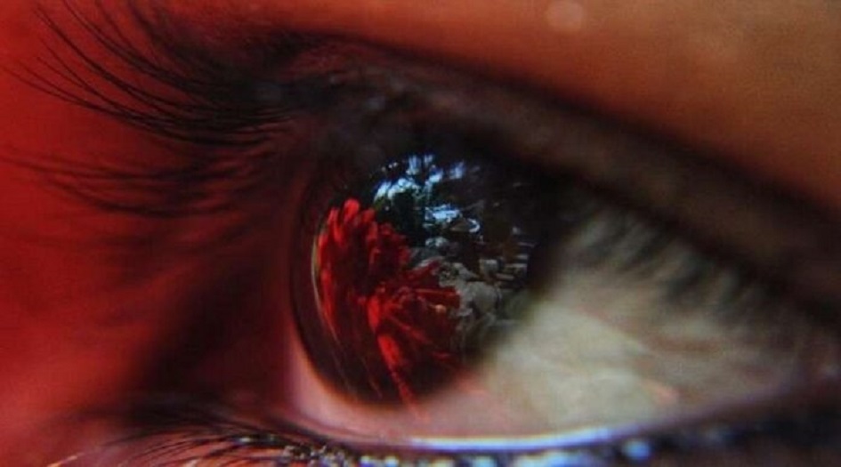 اكتشاف سر جديد من اسرار العيون والدماغ