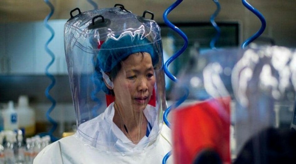الباحثة التي توصف بـ "المرأة الخفاش" في الصين تحذر من ظهور فيروسات جديدة