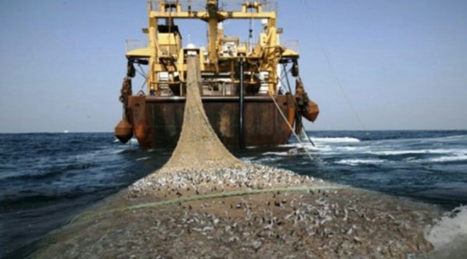القوة البحرية للحرس الثوري توقف سفينتي صيد ترولة في مياه جابهار