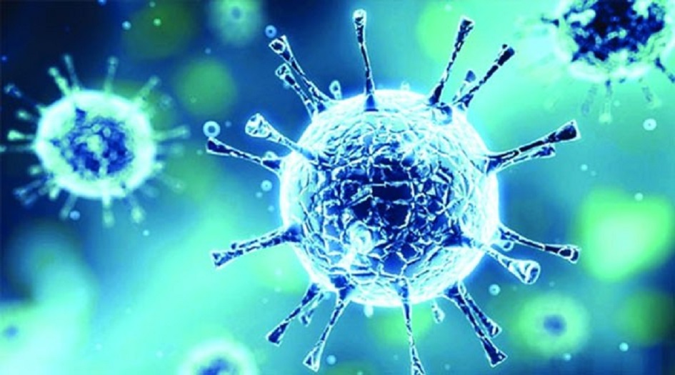 علماء يكتشفون 6 أنواع مختلفة لفيروس كورونا