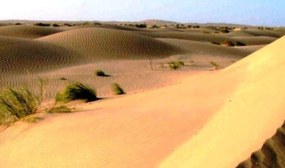 شاهد:  أعجوبة طبيعية في صحراء كربلاء