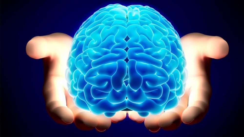 اكتشاف سري جديد للدماغ البشري