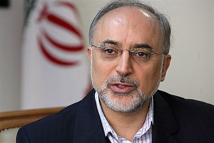 صالحی : ملاحظات اصولی ایران در بیانیه مشترک با آژانس در نظر گرفته شد