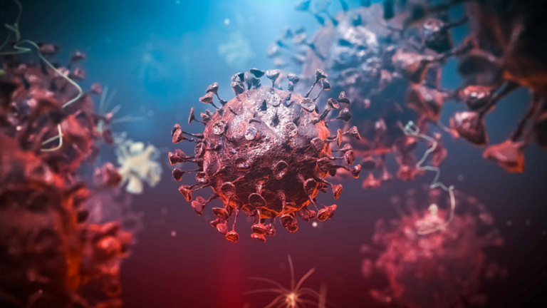 صور تكشف مهاجمة فيروس كورونا للخلايا البشرية في الوقت الحقيقي!