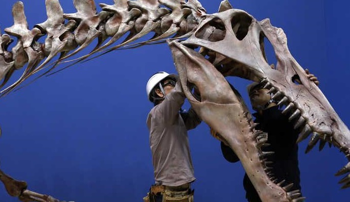 بأضخم اكتشاف.. العثور على الديناصور السباح بدولة عربية!!
