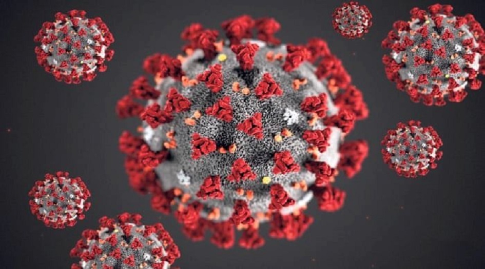 العلماء يحددون نقاط ضعف فيروس كورونا