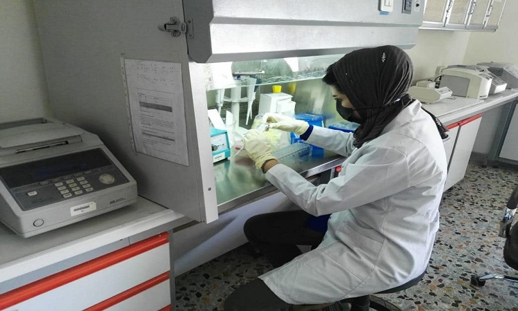 الصحة العراقية تعلن الموقف الوبائي اليومي لجائحة كورونا