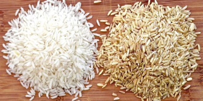 الأرز البني أم الأبيض.. تعرف على أيهما أفضل لصحتك