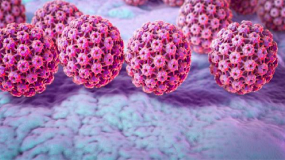 دراسة تزعم أن فيروس "المفجّر الشبح" قد يكون سلاحا قاتلا جديدا ضد السرطان
