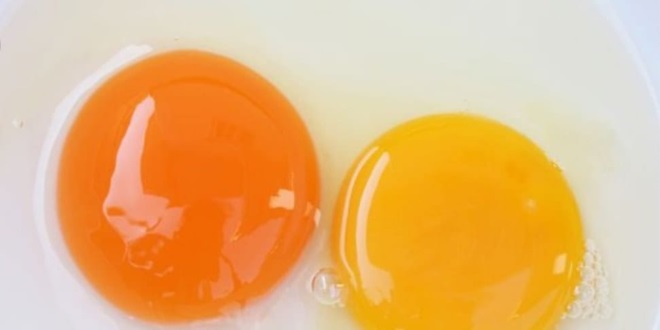 على ماذا يدل لون صفار البيض؟!