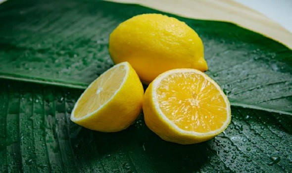 الليمون والنحافة.. دراسة تكشف "العلاقة الغريبة"