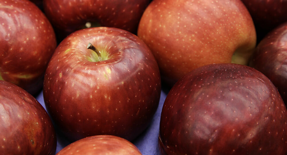 لن تصدق ماذا تفعل "تفاحة واحدة يوميا" في صحتك