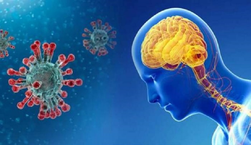 كيف يؤثر فيروس كورونا على الدماغ ؟
