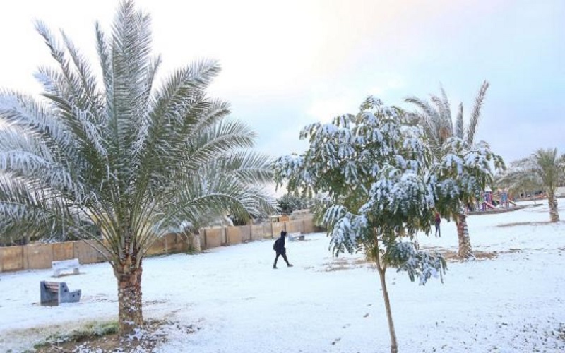 أمطار وثلوج في العراق.. تعرف على التفاصيل والموعد