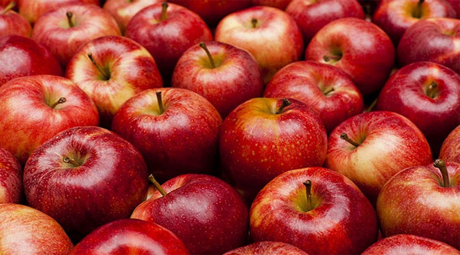 فوائد التفاح الصحية وقيمه الغذائية