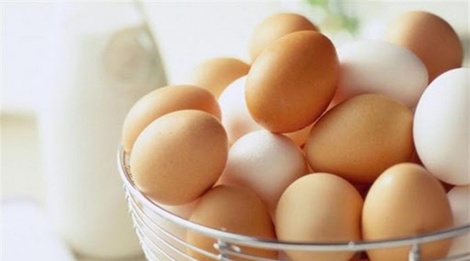 10 حقائق مذهلة عن البيض على الأغلب أنت لا تعرفها!