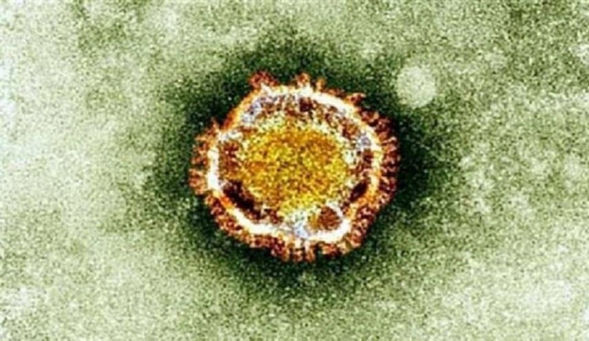 مصر تحذر من ظهور فيروس جديد.. يؤدي إلى غيبوبة خلال 48 ساعة!