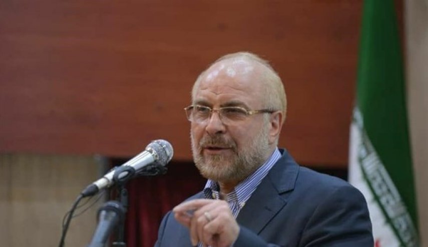 رئيس البرلمان الايراني يؤكد على المشاركة الواسعة في الانتخابات الرئاسية