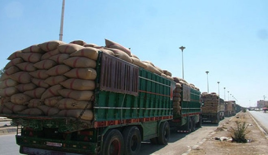 الاحتلال الأمريكي يواصل سرقة القمح السوري