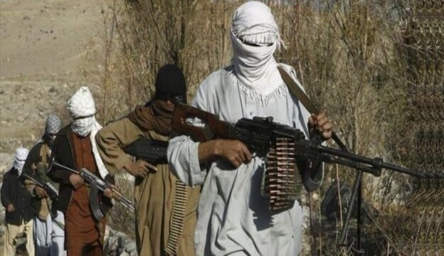 دو شهرستان دیگر افغانستان به دست طالبان افتاد