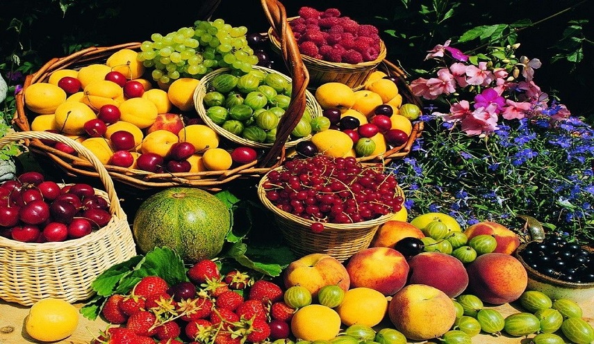 بالصور.. إيران تحتل المرتبة الأولى في إنتاج الفاكهة بغرب آسيا وشمال أفريقيا