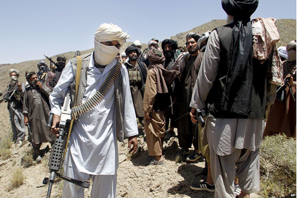 سقوط یکی دیگر از مناطق استان هرات به دست طالبان