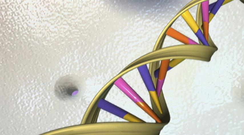 اكتشاف نسبة الحمض النووي الذي يميز الإنسان الحديث عن السلالات البائدة