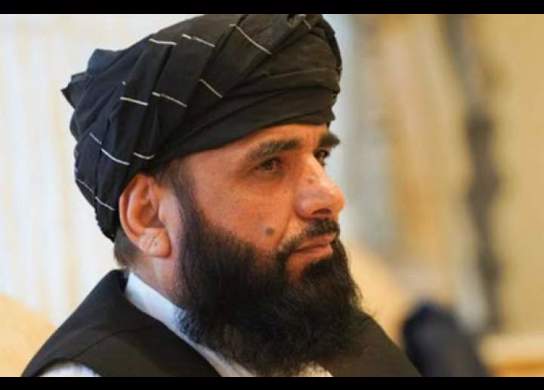 سخنگوی طالبان: سقوط چند منطقه به دست ما نتیجه تفاهم بوده است نه درگیری