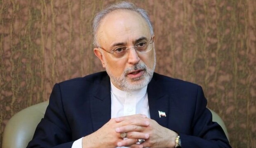 صالحي يشيد بالانجازات النووية التي حققتها حكومة روحاني