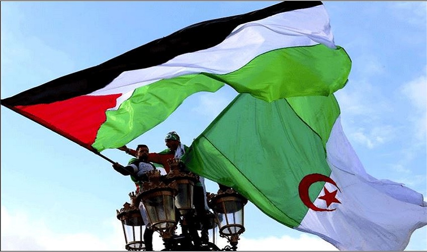حماس تثمن جهود الجزائر لطرد كيان الاحتلال من الاتحاد الإفريقي