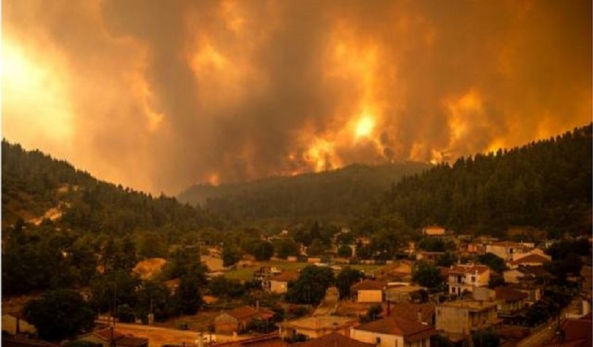 الجزائر.. ارتفاع عدد حرائق الغابات إلى 99 في 16 محافظة